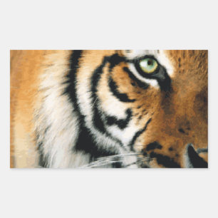 Tiger 2 - Sticker Rektangulärt Klistermärke