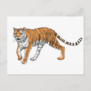 Tiger 2 vykort