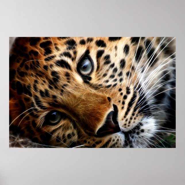 Tiger 3 - Poster (Framsidan)