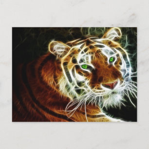Tiger 3 vykort