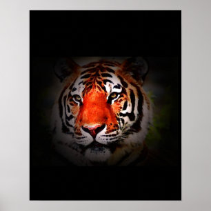 Tiger Affisch Print - Pop Art Stil Tigers Affische
