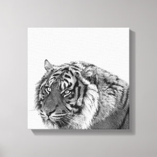 Tiger african Animal Photo Black and white Canvastryck