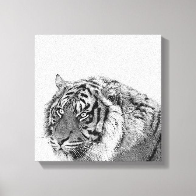 Tiger african Animal Photo Black and white Canvastryck (Framsida)