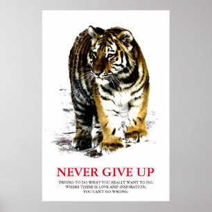 Tiger Aldrig Ge up Motivering Poster