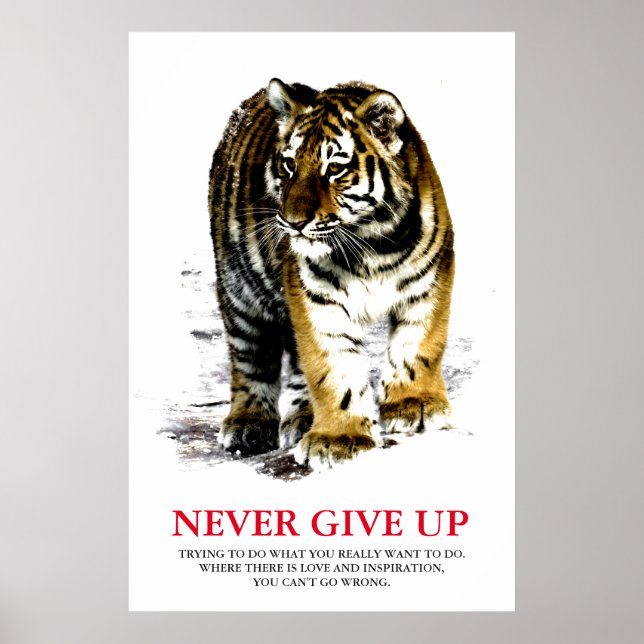 Tiger Aldrig Ge up Motivering Poster (Framsidan)