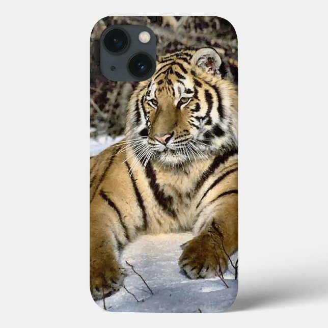 Tiger Älskare (Baksida)