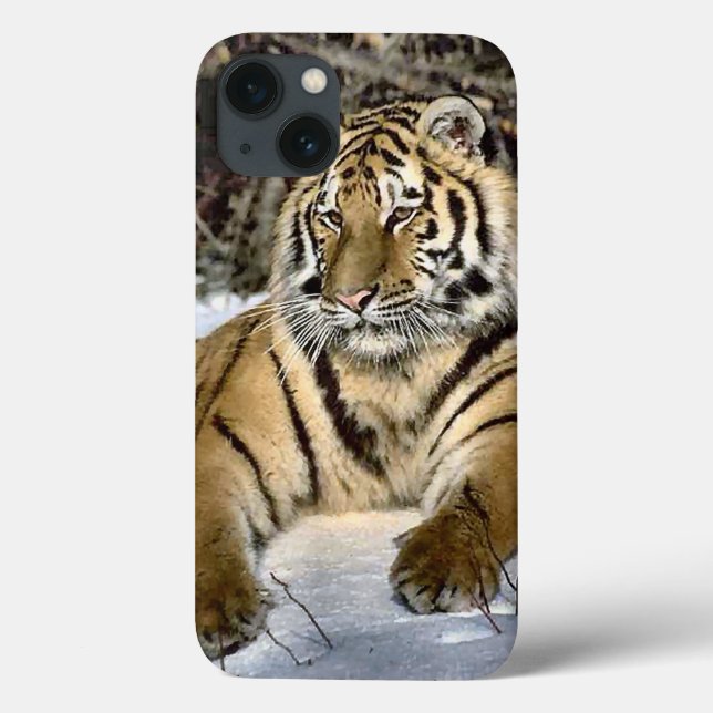 Tiger Älskare (Baksida)
