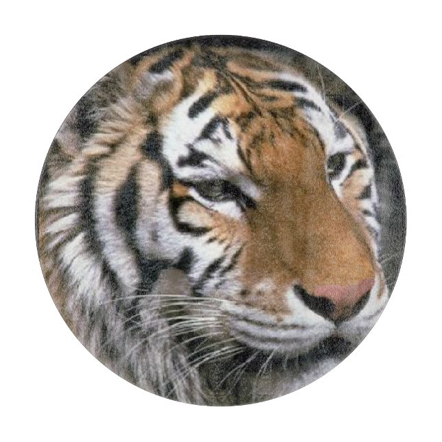 Tiger Älskare Art (Framsidan)