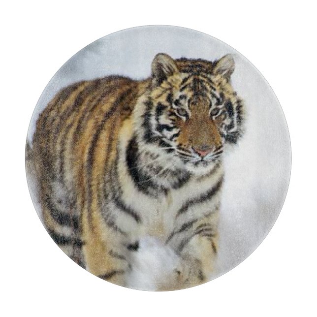 Tiger Älskare Art (Framsidan)