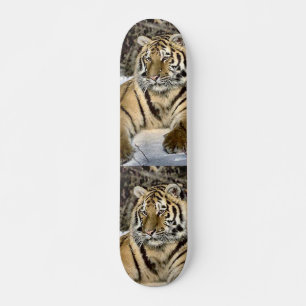 Tiger Älskare Art Gifts Mini Skateboard Bräda 18,7 Cm