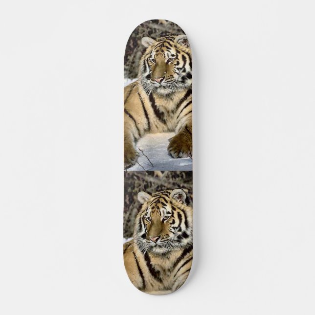 Tiger Älskare Art Gifts Mini Skateboard Bräda 18,7 Cm (Framsida)
