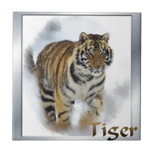 Tiger Älskare Art Kakelplatta