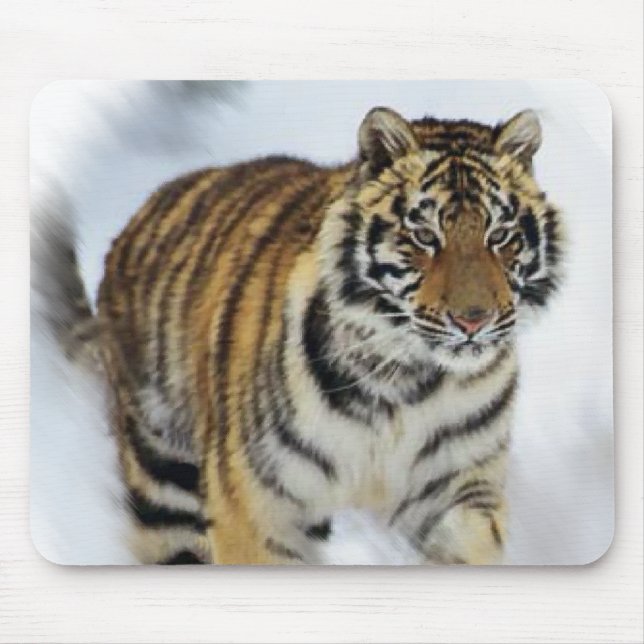Tiger Älskare Art Musmatta (Framsidan)