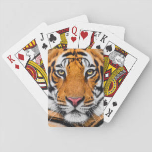 Tiger Ansikte-bakgrund Casinokort