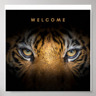 Tiger ansikte canvas poster
