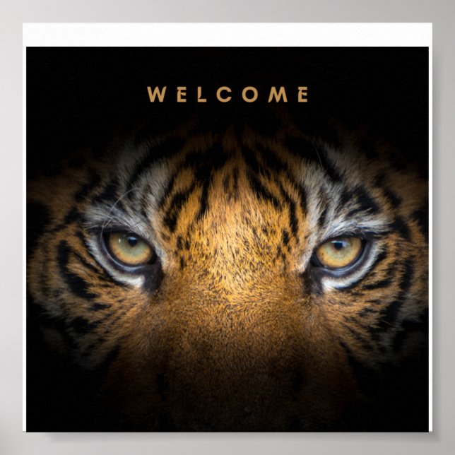 Tiger ansikte canvas poster (Framsidan)