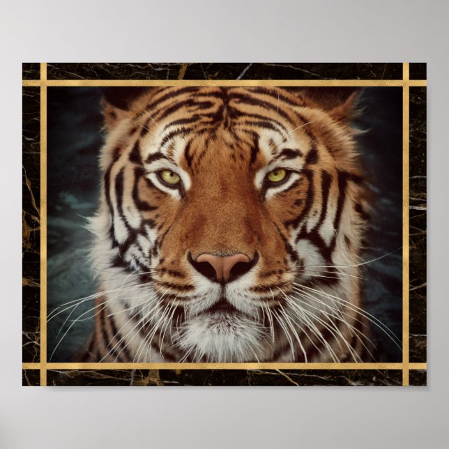 Tiger Ansikte Foto Bild Tryck Poster (Framsidan)