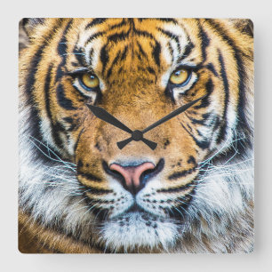 Tiger Ansikte Fyrkantig Klocka