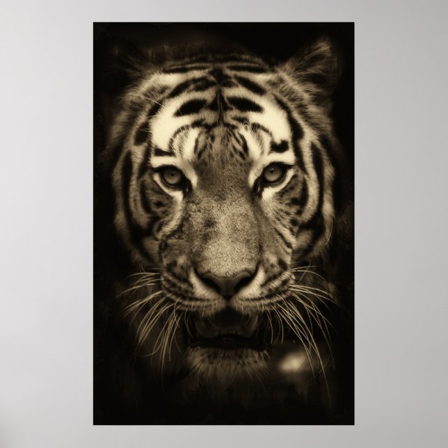 Tiger Ansikte i Sepia Tones Poster (Framsidan)