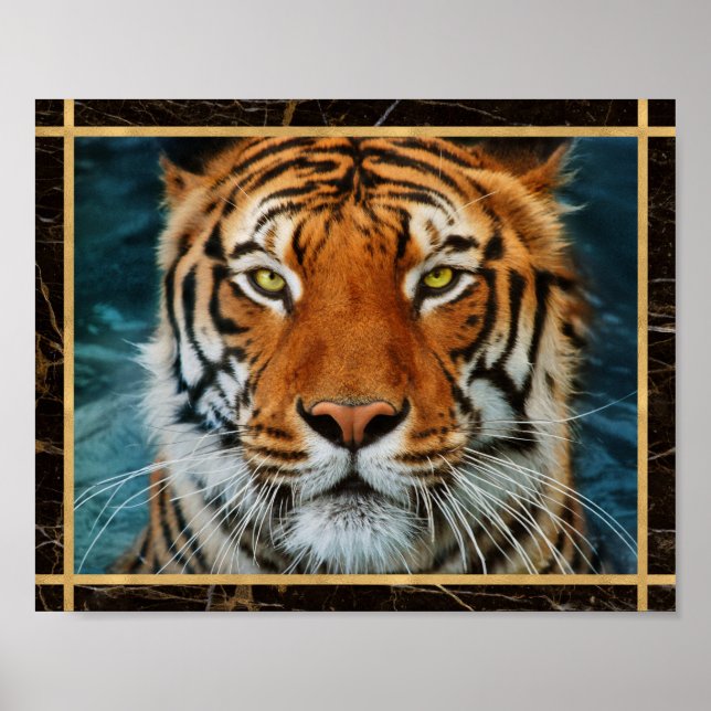 Tiger Ansikte Marmorerad Foto Bild Poster (Framsidan)