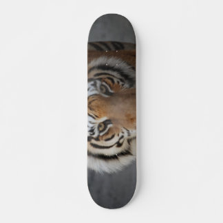 Tiger Ansikte Mini Skateboard Bräda 18,5 Cm