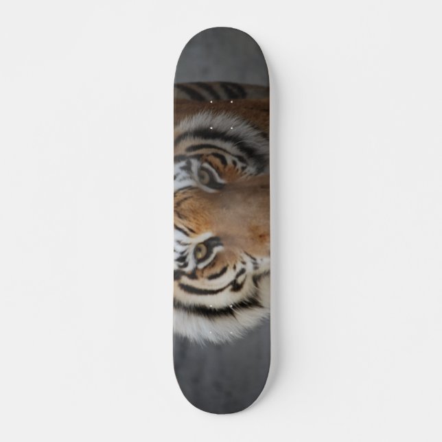 Tiger Ansikte Mini Skateboard Bräda 18,5 Cm (Framsida)