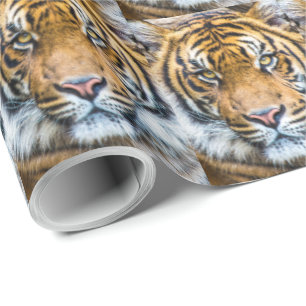 Tiger Ansikte Presentpapper