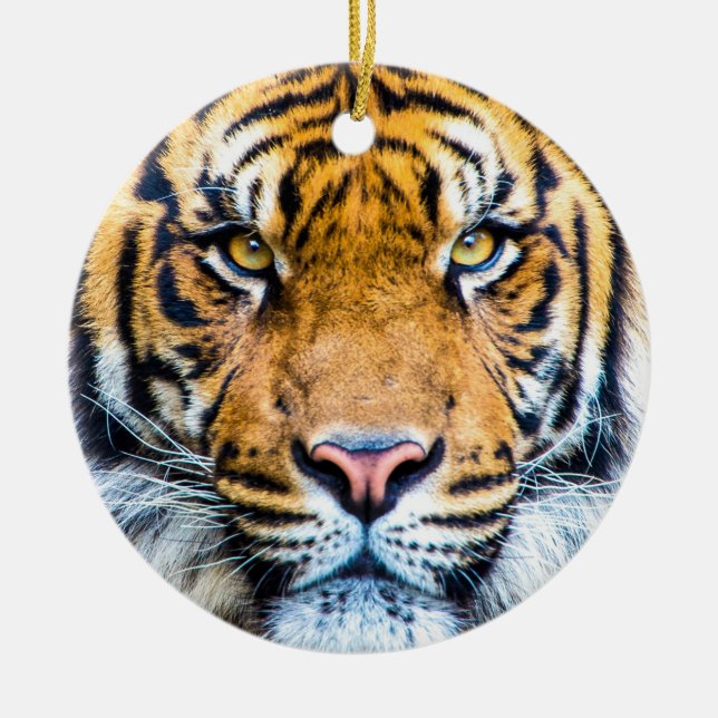 Tiger Ansikte stänger Monogram Namn Julgransprydnad Keramik (Framsidan)