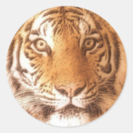 Tiger Ansikte - Sticker Runt Klistermärke