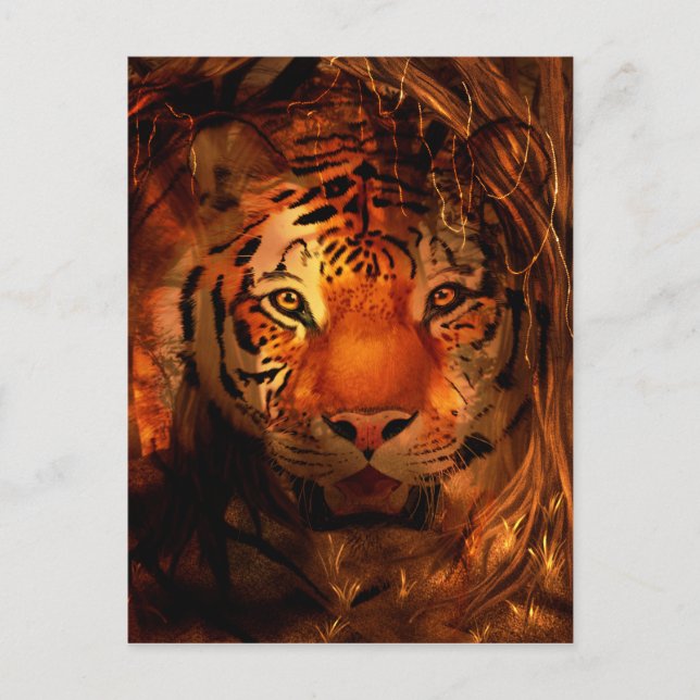 Tiger ansikte vykort (Framsida)