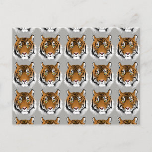 Tiger ansikte vykort