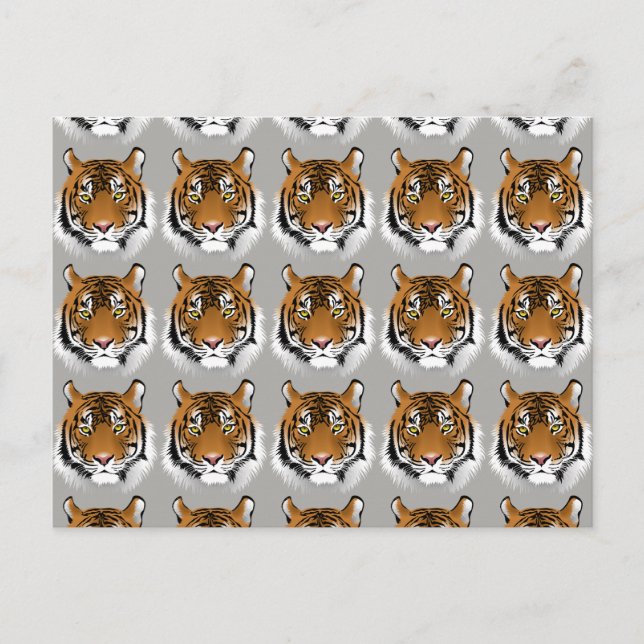 Tiger ansikte vykort (Framsida)