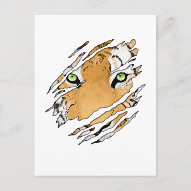 Tiger Ansikte Wildlife Art Vykort (Framsida)