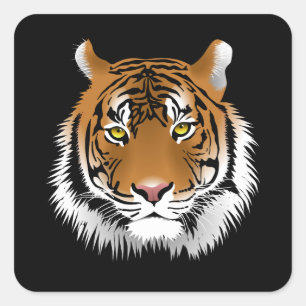 Tiger Ansiktskvadratisk dekal Fyrkantigt Klistermärke