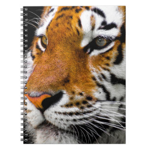 Tiger Anteckningsbok