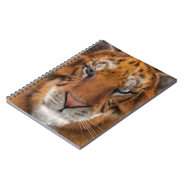 Tiger Anteckningsbok (Vänstra Sidan)