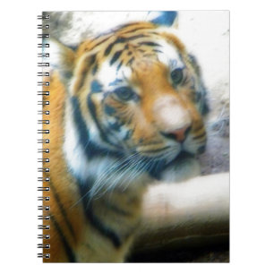 Tiger Anteckningsbok Med Spiral