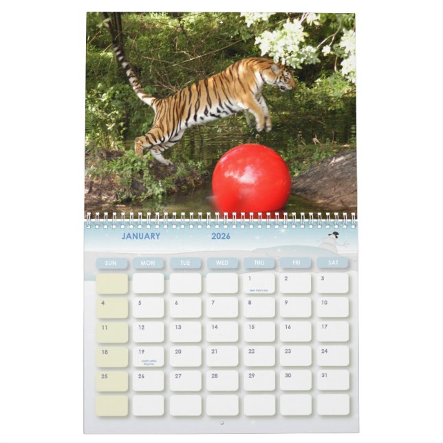 Tiger_Aroara012 tiger Auroara Kalender (Jan 2026)