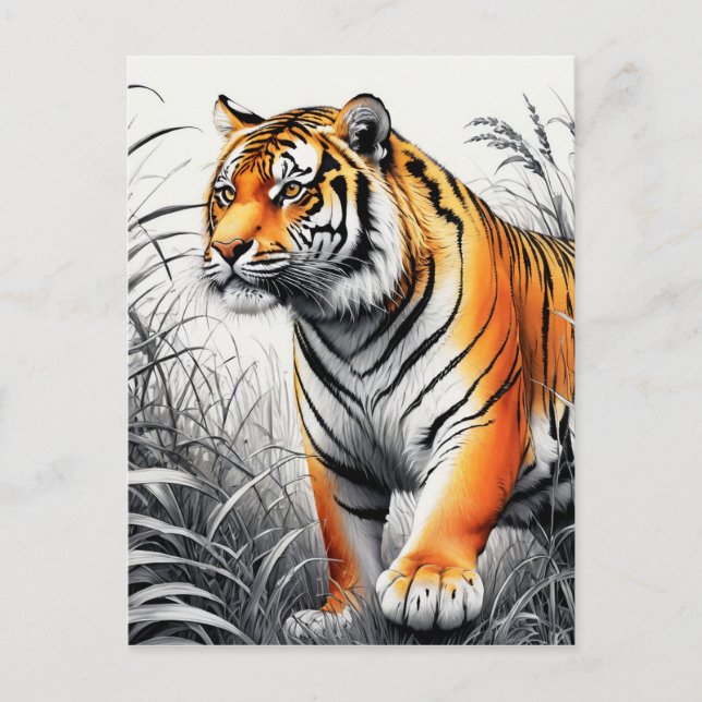 Tiger Art Färg Partial Black White Teckning Vykort (Framsida)