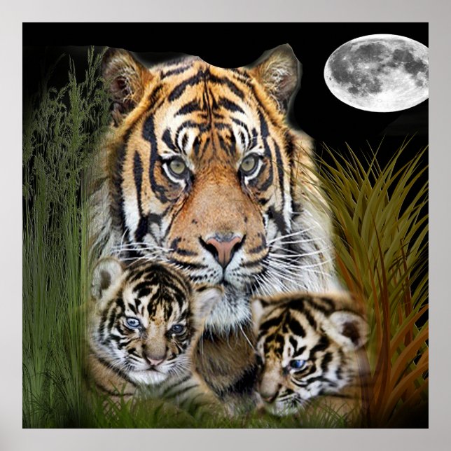 Tiger art poster (Framsidan)