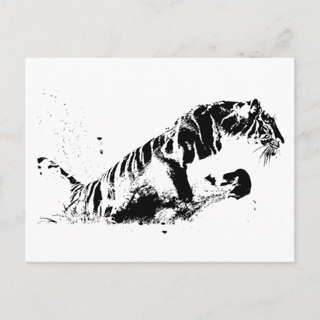 Tiger Attacker Vykort (Framsida)