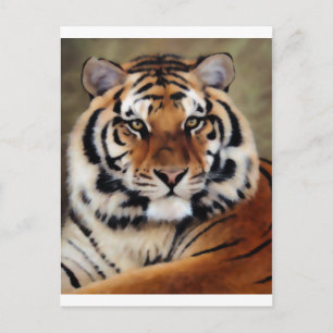 Tiger av Psyco Vykort