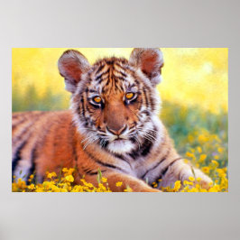 Tiger Baby Unge Poster