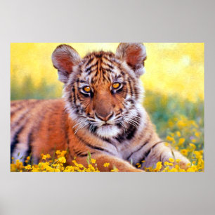Tiger Baby Unge Poster