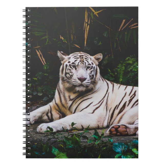 Tiger bärbar dator anteckningsbok (Framsidan)