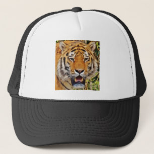 Tiger-bild! Keps