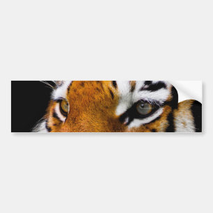 Tiger Bildekal