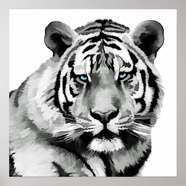 Tiger Black and White Blue öga Poster (Framsidan)