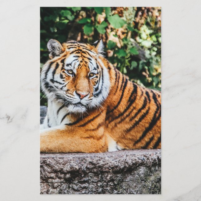 Tiger Brevpapper (Framsida)