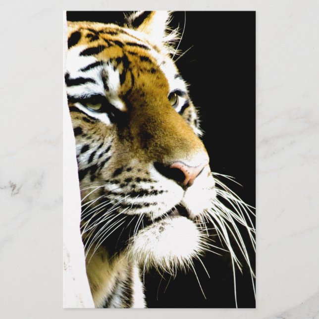 Tiger Brevpapper (Framsida)